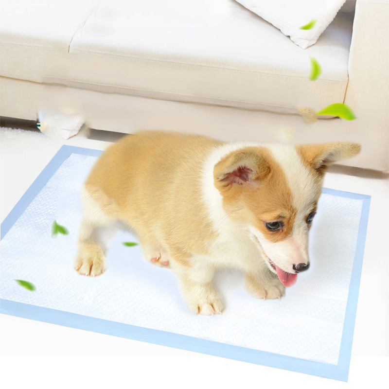 5/10pcs Disposable Dog Diapers - Pet Supplies Uk recension och pris